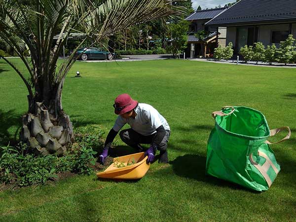 除草作業中の写真