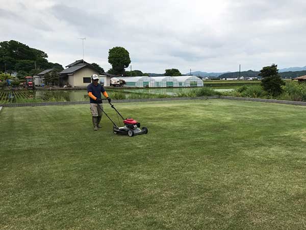 芝刈り作業中の写真