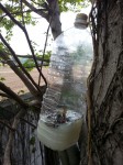 20160501_103550