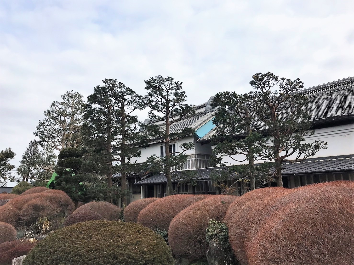 施工実績 栃木県 造園 株式会社匠コーポレーション 庭木の手入れ 植木屋 伐採 特殊伐採